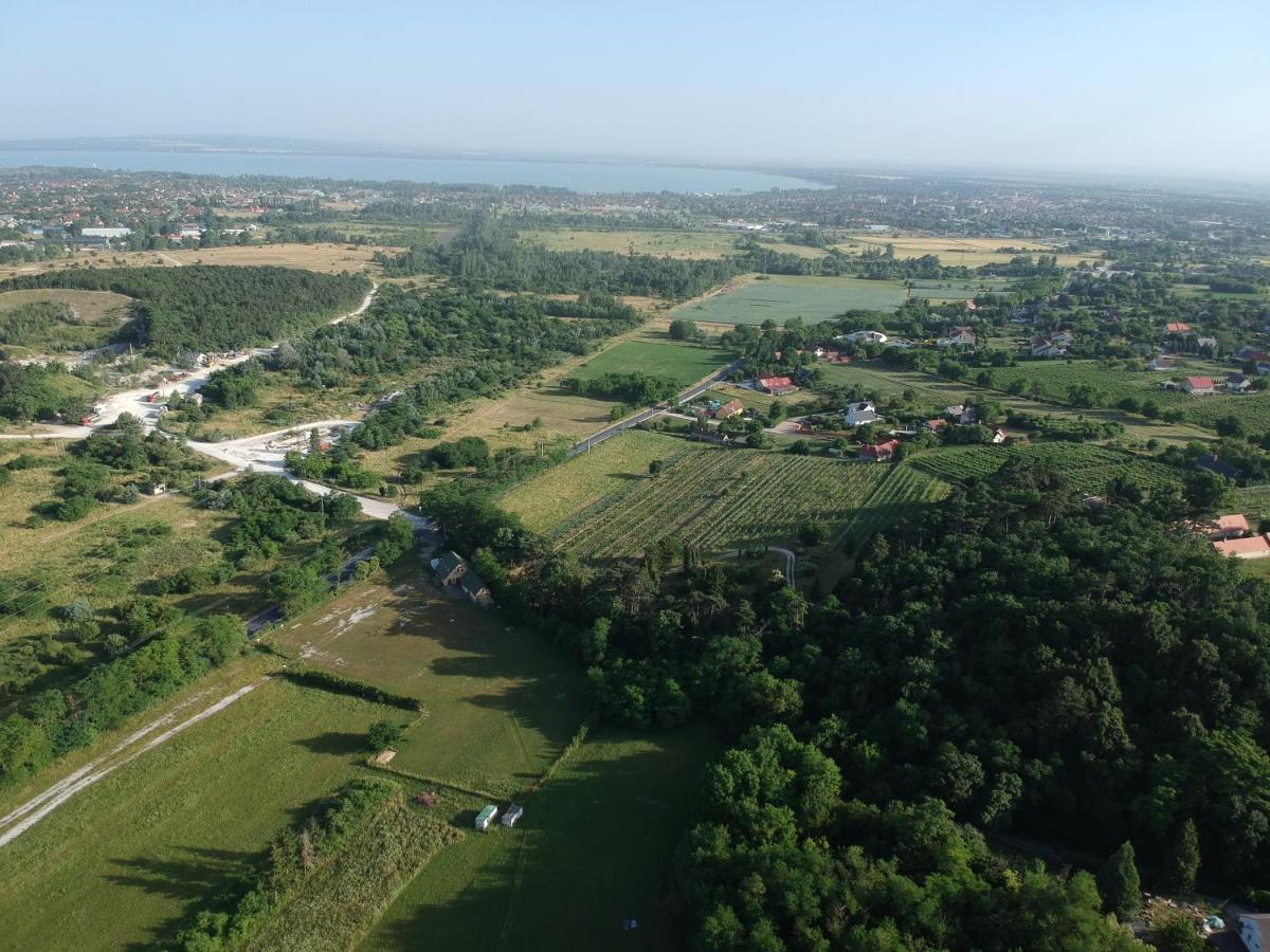 Pilikan Apartments - Park, Agroturism, Vineyard & Farm تشيرستوموي المظهر الخارجي الصورة