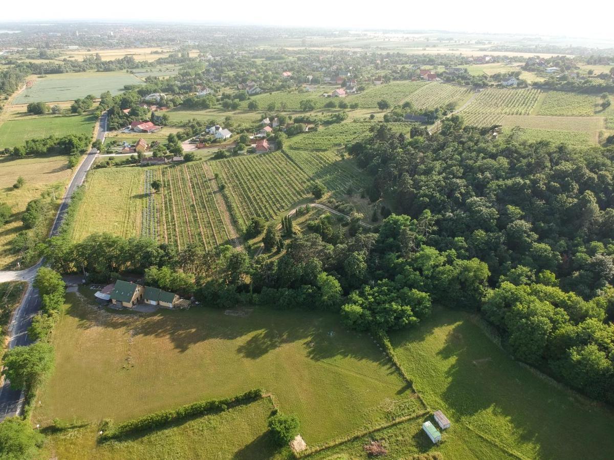Pilikan Apartments - Park, Agroturism, Vineyard & Farm تشيرستوموي المظهر الخارجي الصورة