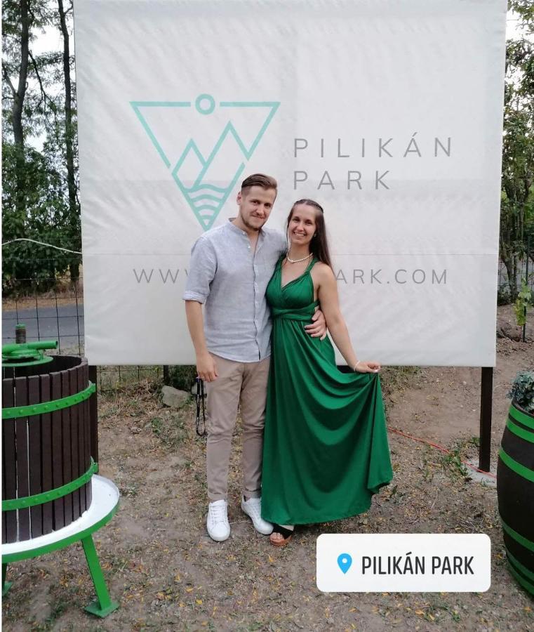 Pilikan Apartments - Park, Agroturism, Vineyard & Farm تشيرستوموي المظهر الخارجي الصورة